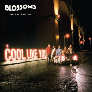 “Cool Like You (Deluxe)”的封面