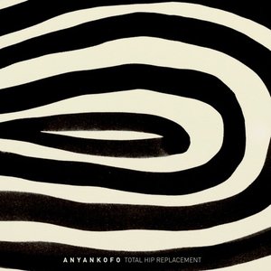 Image for 'Anyankofo'