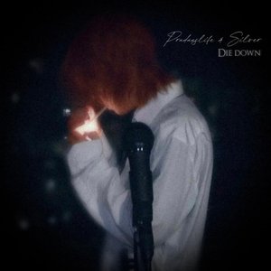 Image for 'Die Down'