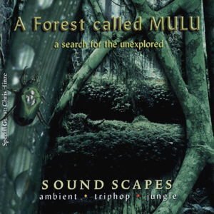 Image for 'A Forest Called Mulu'
