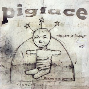 “The Best Of Pigface”的封面