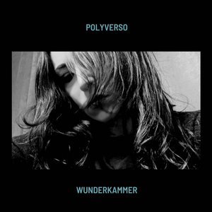 Image for 'Wunderkammer'