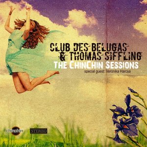 Immagine per 'The ChinChin Sessions'