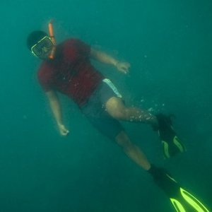 Image for 'Duck Dive'
