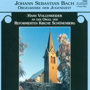 'Bach, J.S.: Organ Music - Bwv 553-560, 570, 711, 715, 716, 744' için resim