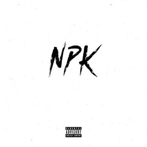 Image for 'NPK'