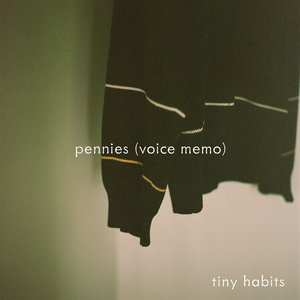 Image for 'pennies (voice memo)'