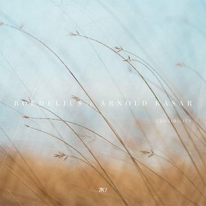 “Zensibility”的封面