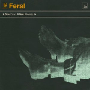 Image for 'Feral'