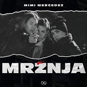 “Mržnja”的封面