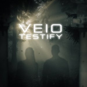 Image for 'Testify'