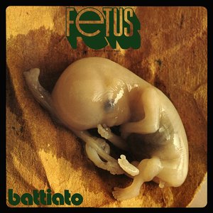 Image for 'Fetus'