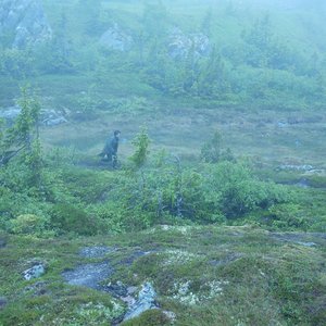 Image for 'Taku Unami'