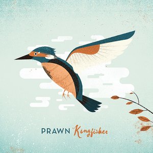 Bild för 'Kingfisher (Deluxe)'