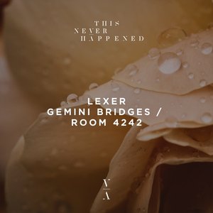 Image pour 'Gemini Bridges / Room 4242'