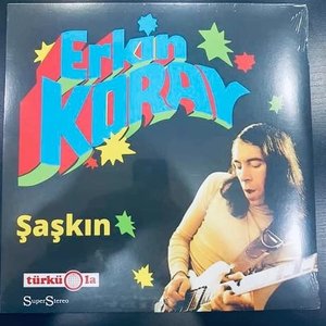 “şaşkın”的封面