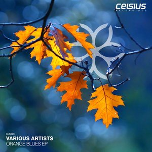 Image for 'Orange Blues EP'
