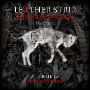 “Throwing Bones (A Tribute To Skinny Puppy)”的封面