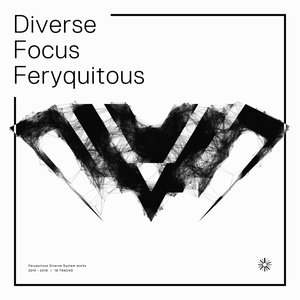 Image for 'Diverse Focus Feryquitous'