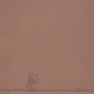'Boreal'の画像