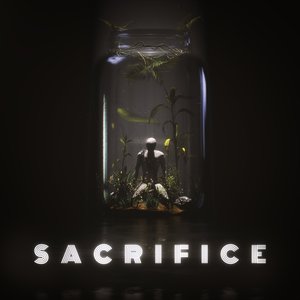 Image for 'Sacrifice (ST Mix)'