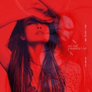 “薛丁格的貓”的封面