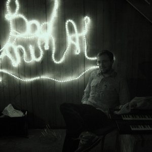 Image for 'Bad Animal'