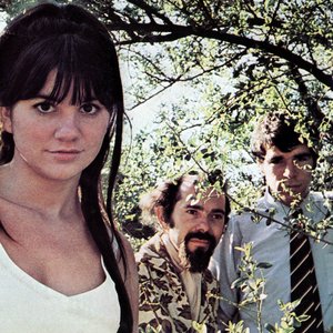 Image pour 'The Stone Poneys'
