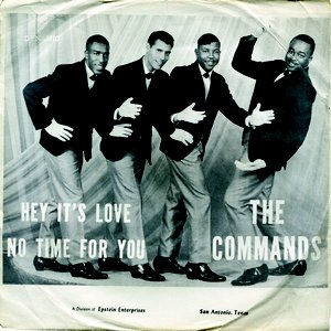 Image for 'The Commands'