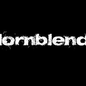 “Hornblend”的封面