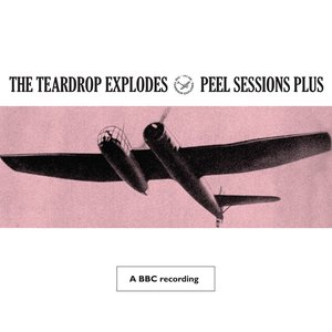 Bild für 'Peel Sessions Plus'