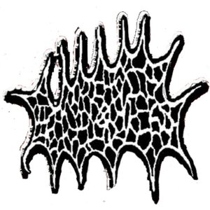 Image for 'SCROTAL EROSION'