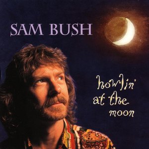 Image for 'Howlin' At The Moon'
