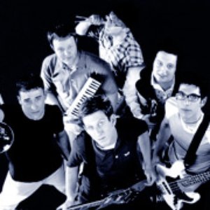 'The Hippos'の画像