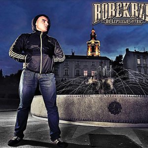 Image for 'Bobek BZR'