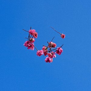 “I Wanna Love Ya”的封面