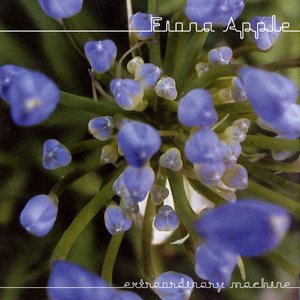 Image for 'Extraordinary Machine (Jon Brion version)'