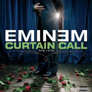 Image for 'Curtain Call: The Hits'