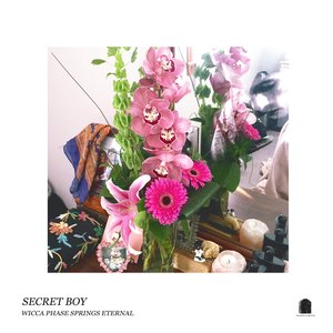 “Secret Boy”的封面