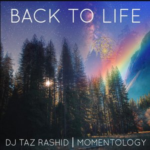 “Back to Life”的封面