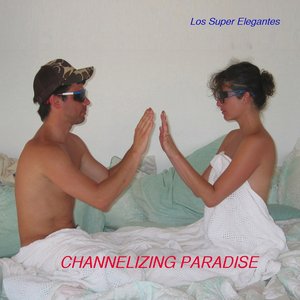 Image for 'Channelizing Paradise'