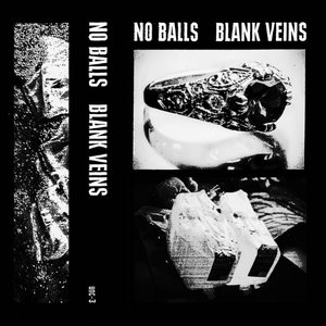 Image for 'No Balls / Blank Veins'