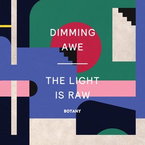 Image for 'Dimming Awe, the Light Is Raw'