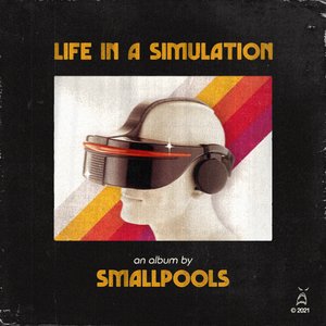 Image for 'Life In A Simulation'