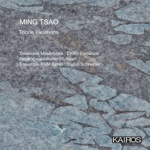 Image for 'Ming Tsao: Triode Variations'