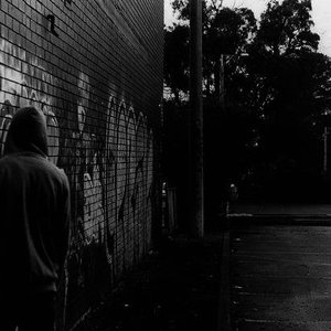 “duckem”的封面