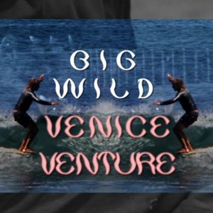 “Venice Venture”的封面