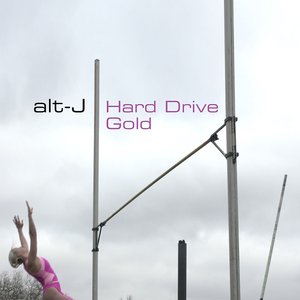 Image for 'Hard Drive Gold'