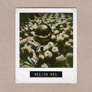 Image for 'Seeing Red'