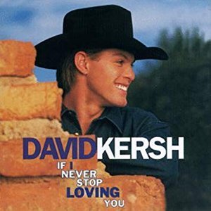 Image for 'If I Never Stop Loving You'